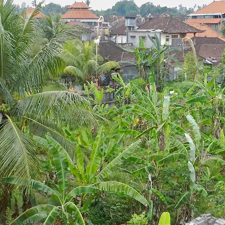 Kori Bali Inn I